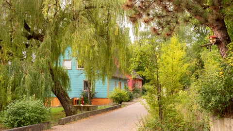 Herzlich Willkommen auf unserem Naturcampus!